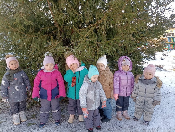 День ёлочки День ёлочки.