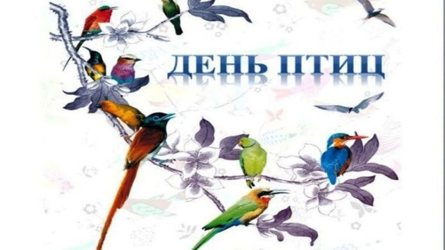 День птиц День птиц.